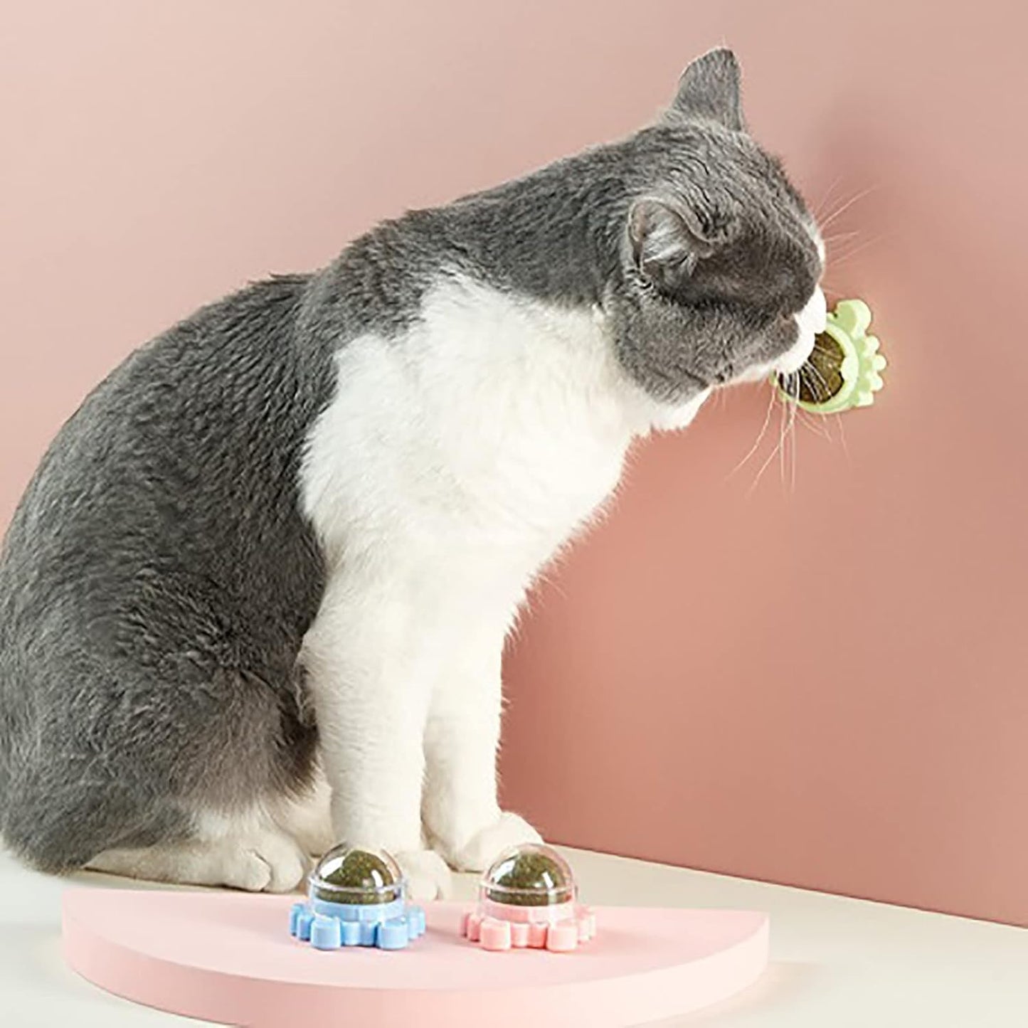 Catnip Ball Teeth Grinding Chew Toy