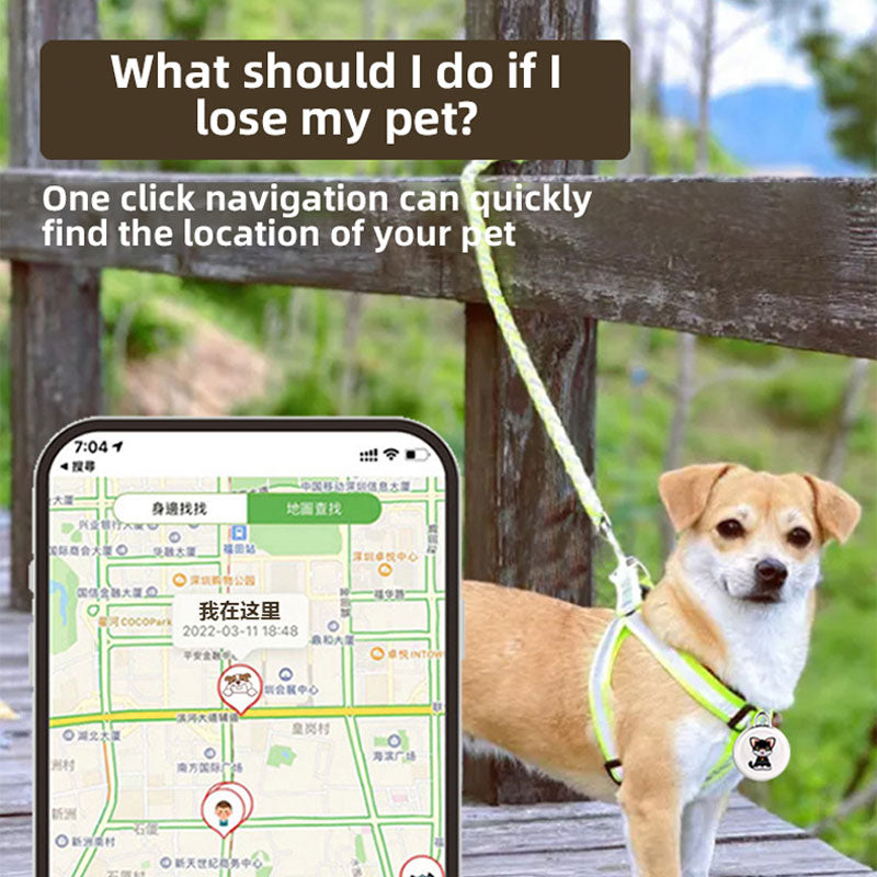 Pet Loss Collar - Airtag for Cat & Dog with GPS Tracking