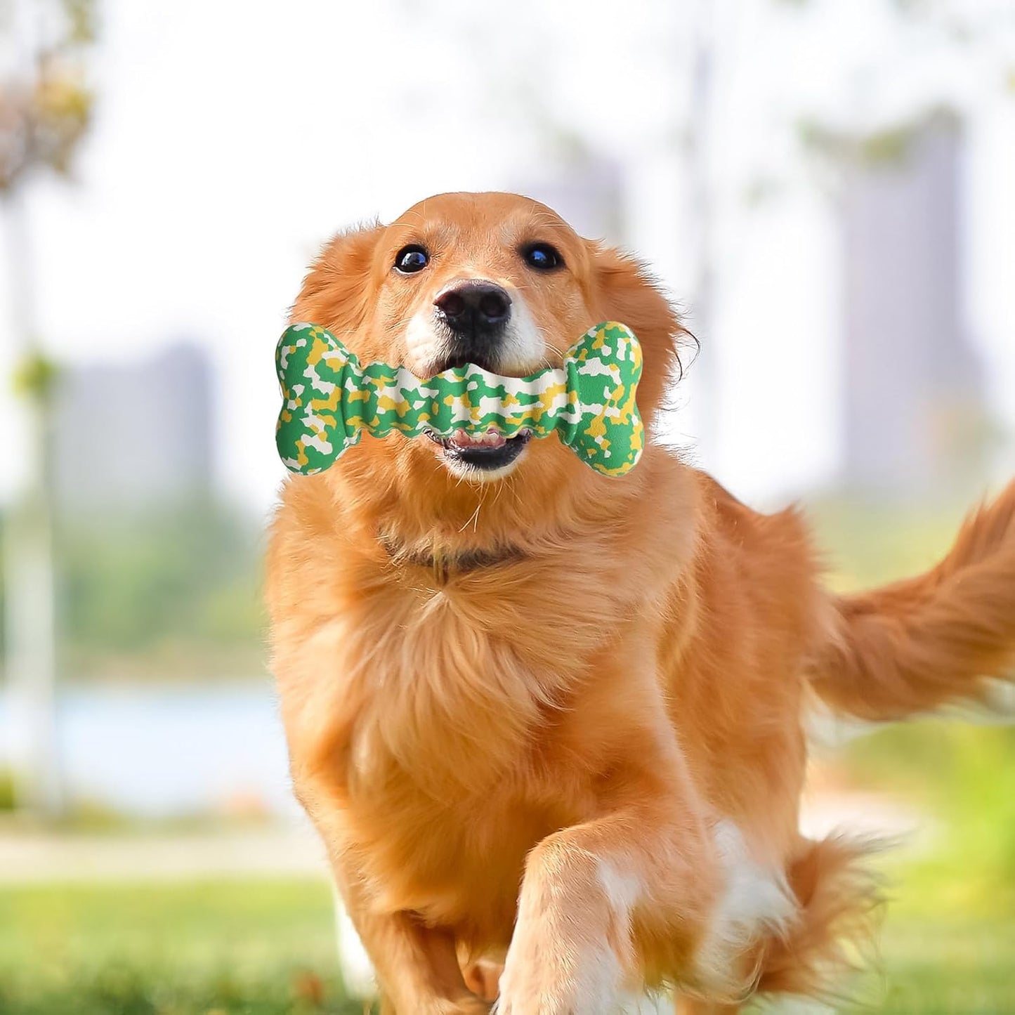 Indestructible Chew Toys