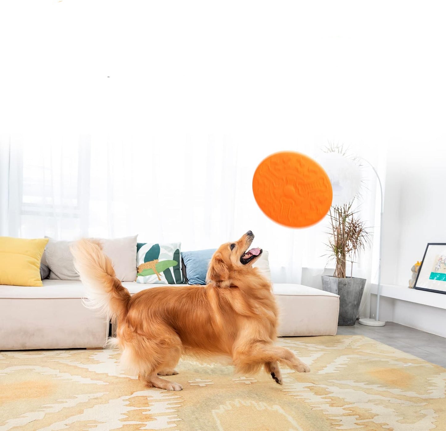 Perfect Frisbee Disc Toy for Dogs