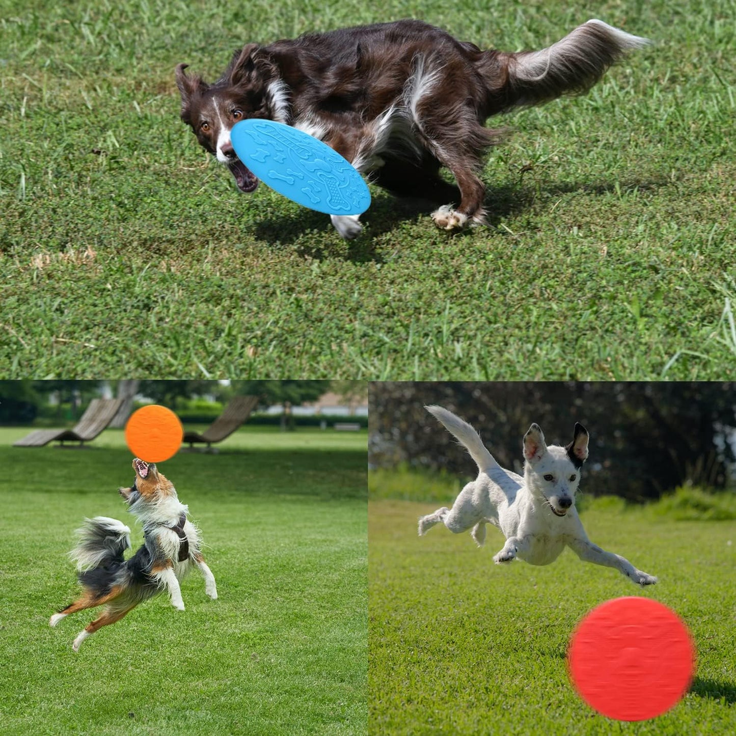 Perfect Frisbee Disc Toy for Dogs