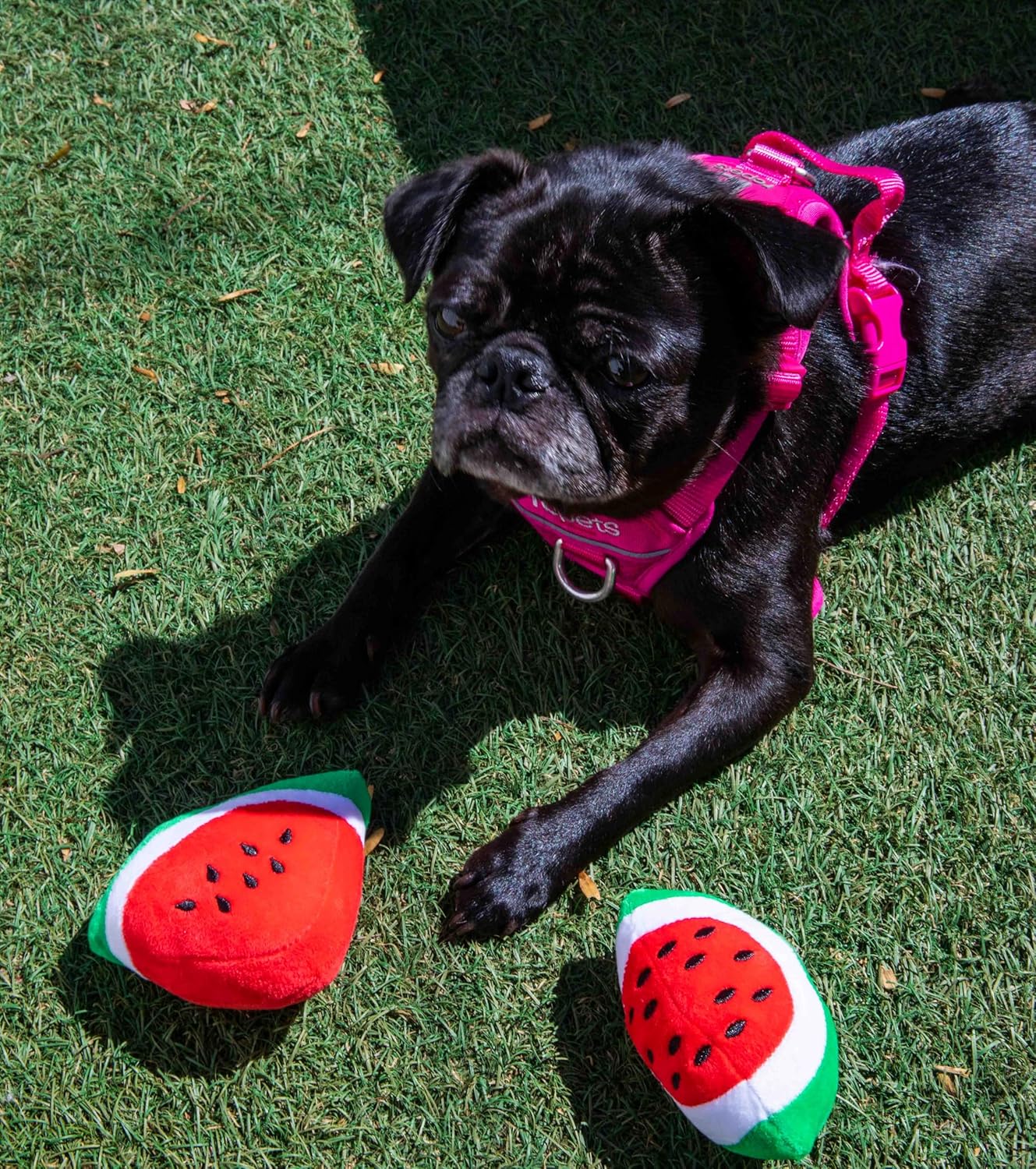 Watermelon Plush Shape Puppy Pet Chew Toy