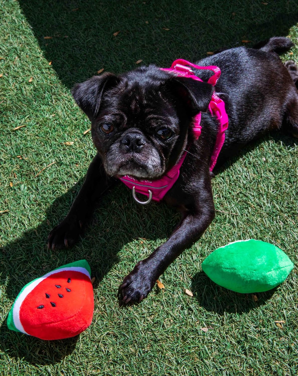 Watermelon Plush Shape Puppy Pet Chew Toy