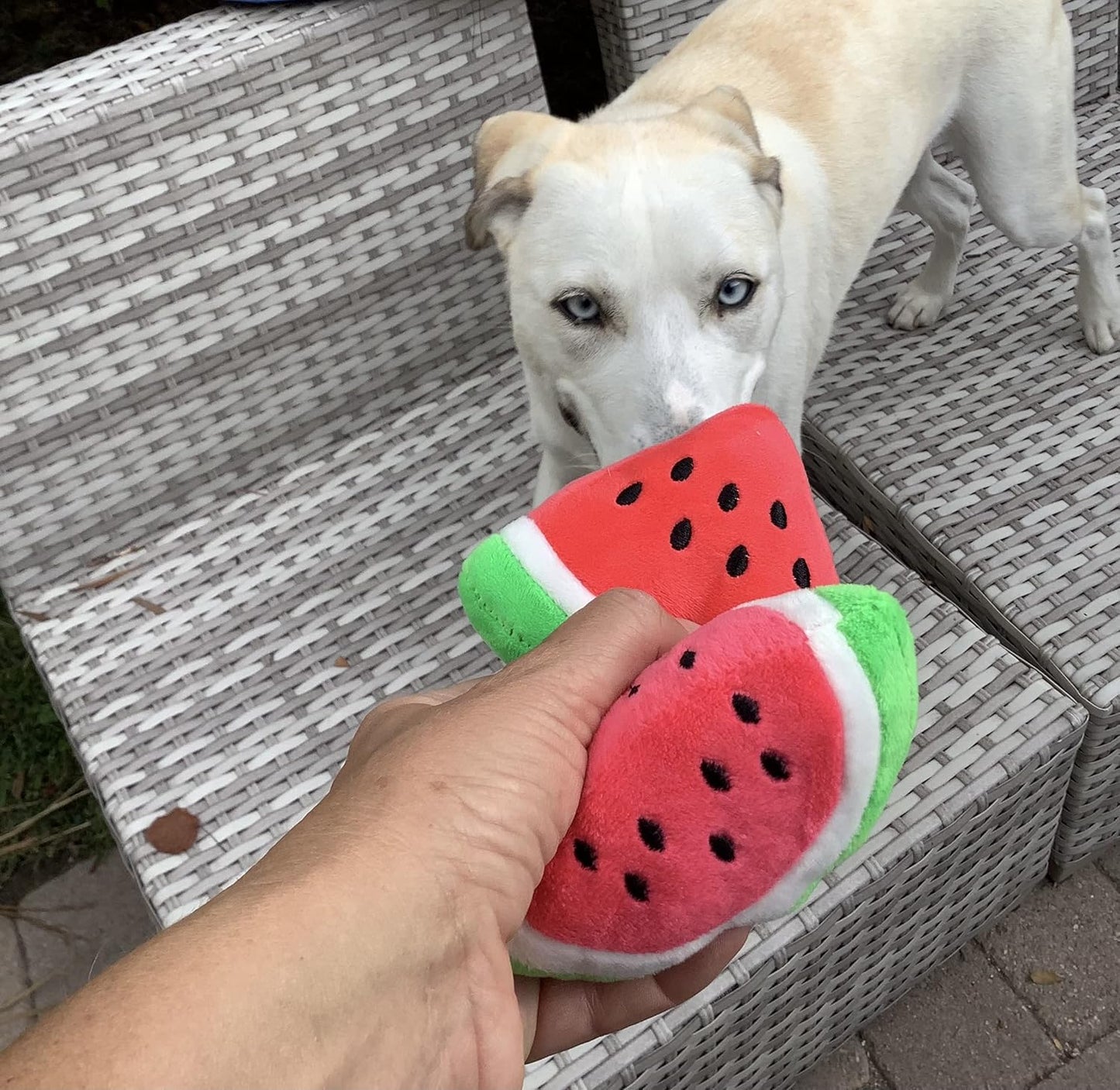 Watermelon Plush Shape Puppy Pet Chew Toy