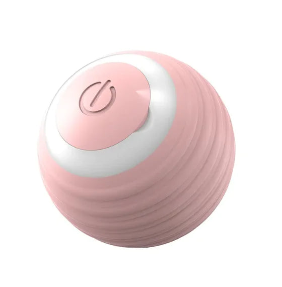 USB Rechargeable Pet Bouncing Ball Toy