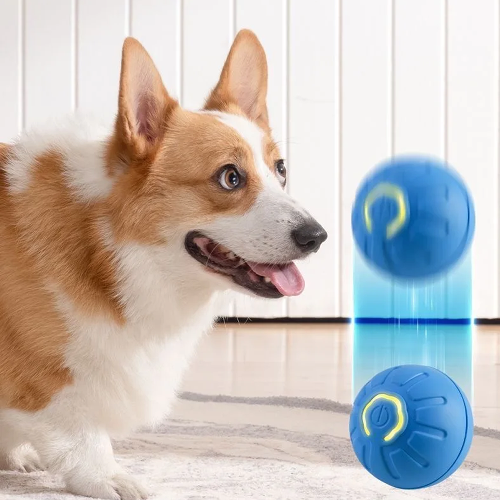USB Rechargeable Pet Bouncing Ball Toy