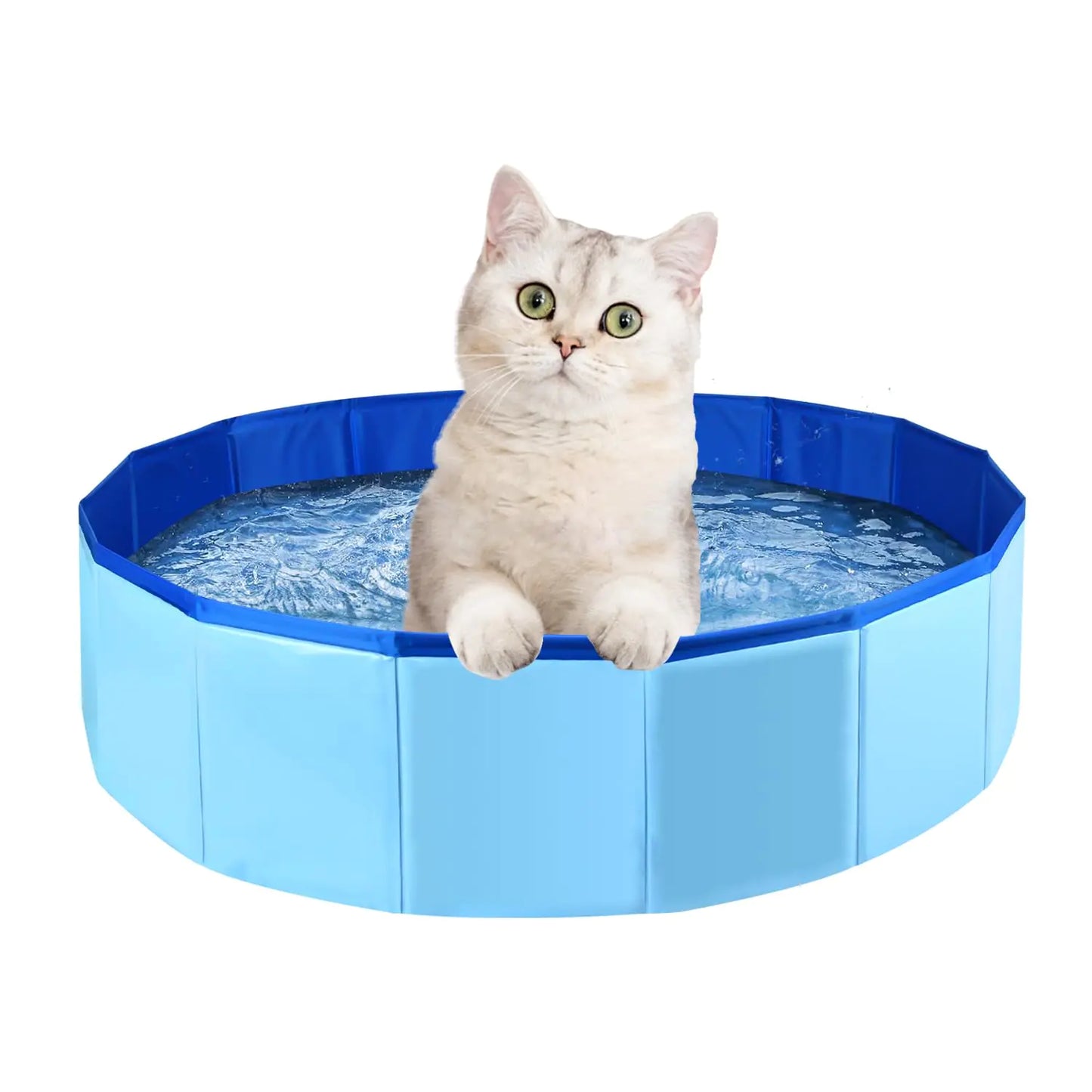 Foldable PVC Dog & Pet Pool