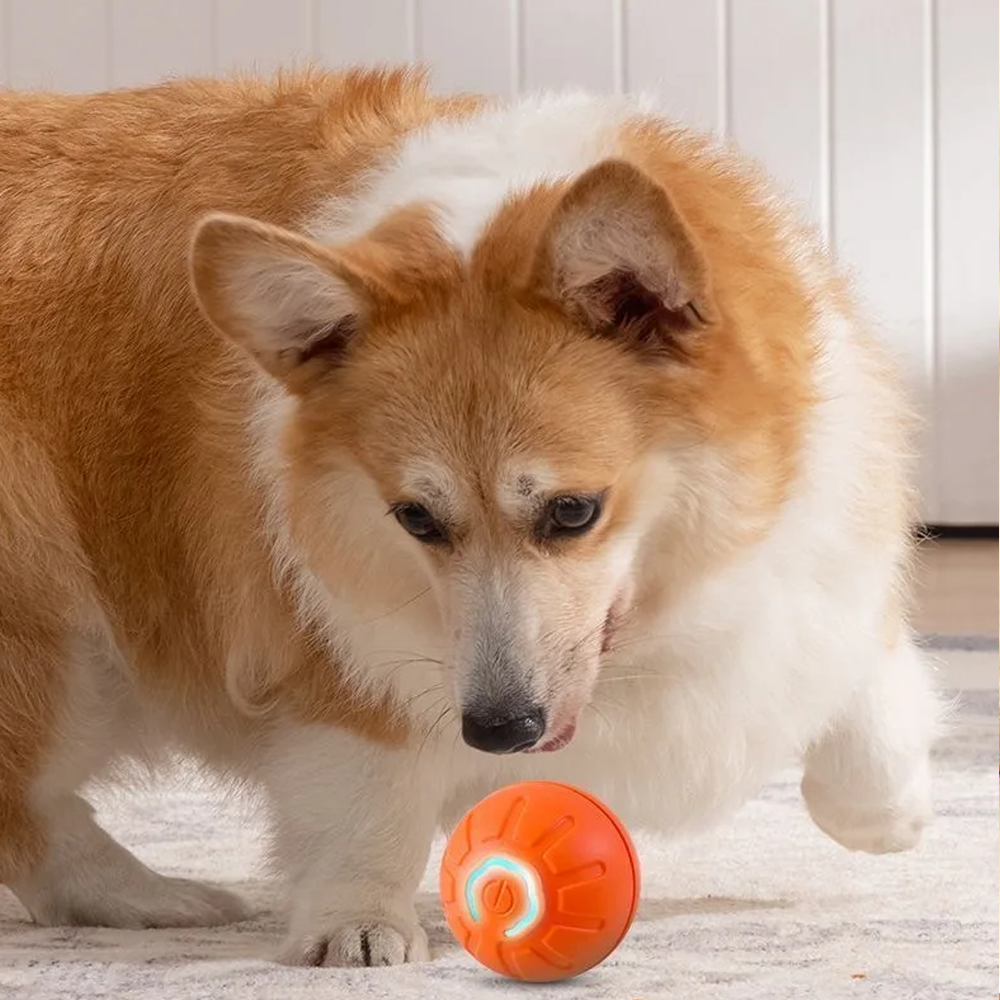 USB Rechargeable Pet Bouncing Ball Toy
