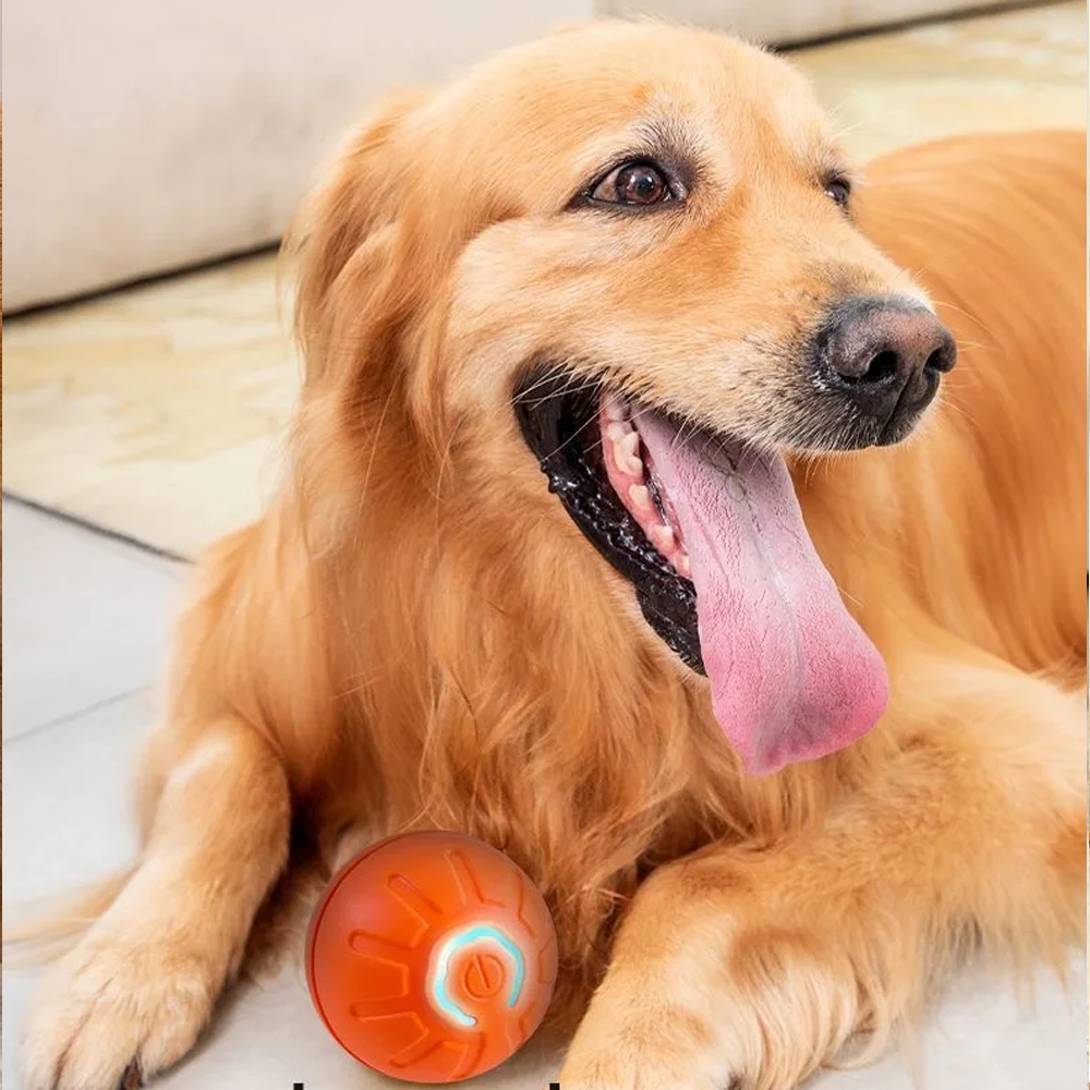 USB Rechargeable Pet Bouncing Ball Toy