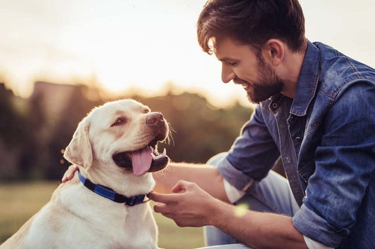 The Foundation of Grooming