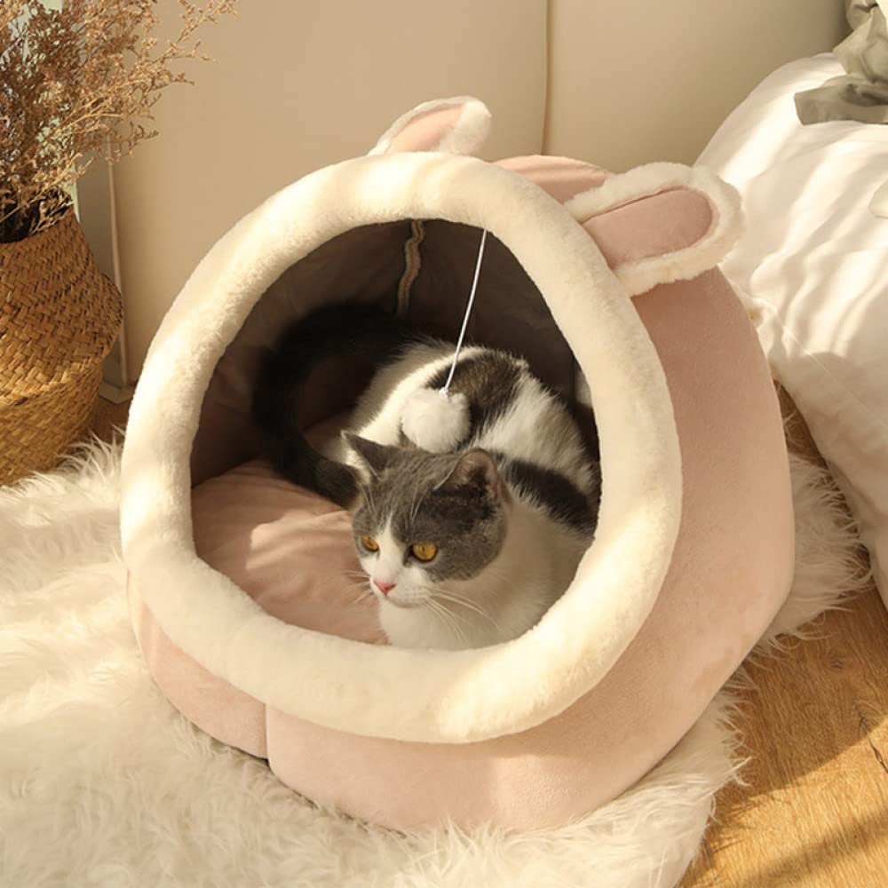Beds & Comforts