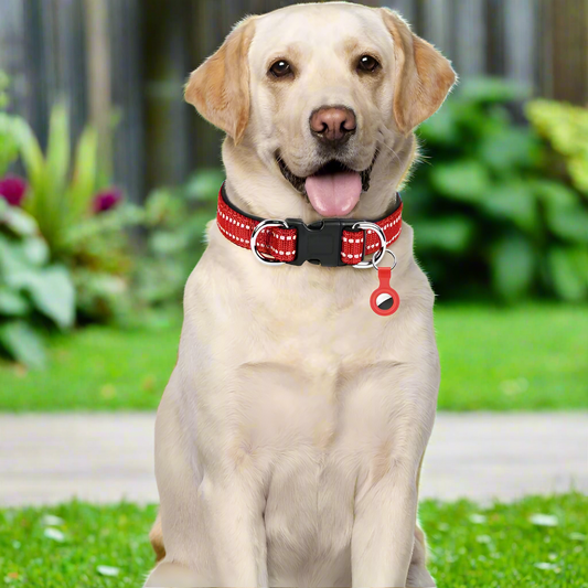 Reflective Nylon Pet Collar