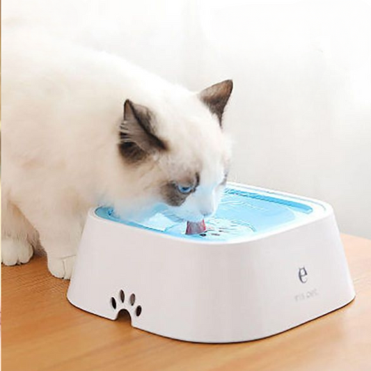 Floating Dog Water Bowl