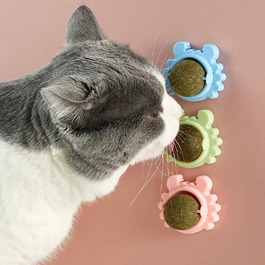 Catnip Ball Teeth Grinding Chew Toy