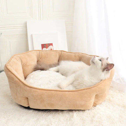 Shell-Shaped Pet Bed for Dogs & Cats