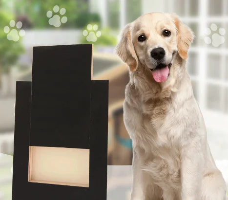 Wooden Nail Grinder for Dogs