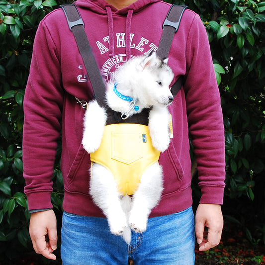 Outdoor Travel Pet Carrier Chest Bag