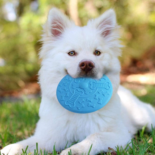 Perfect Frisbee Disc Toy for Dogs