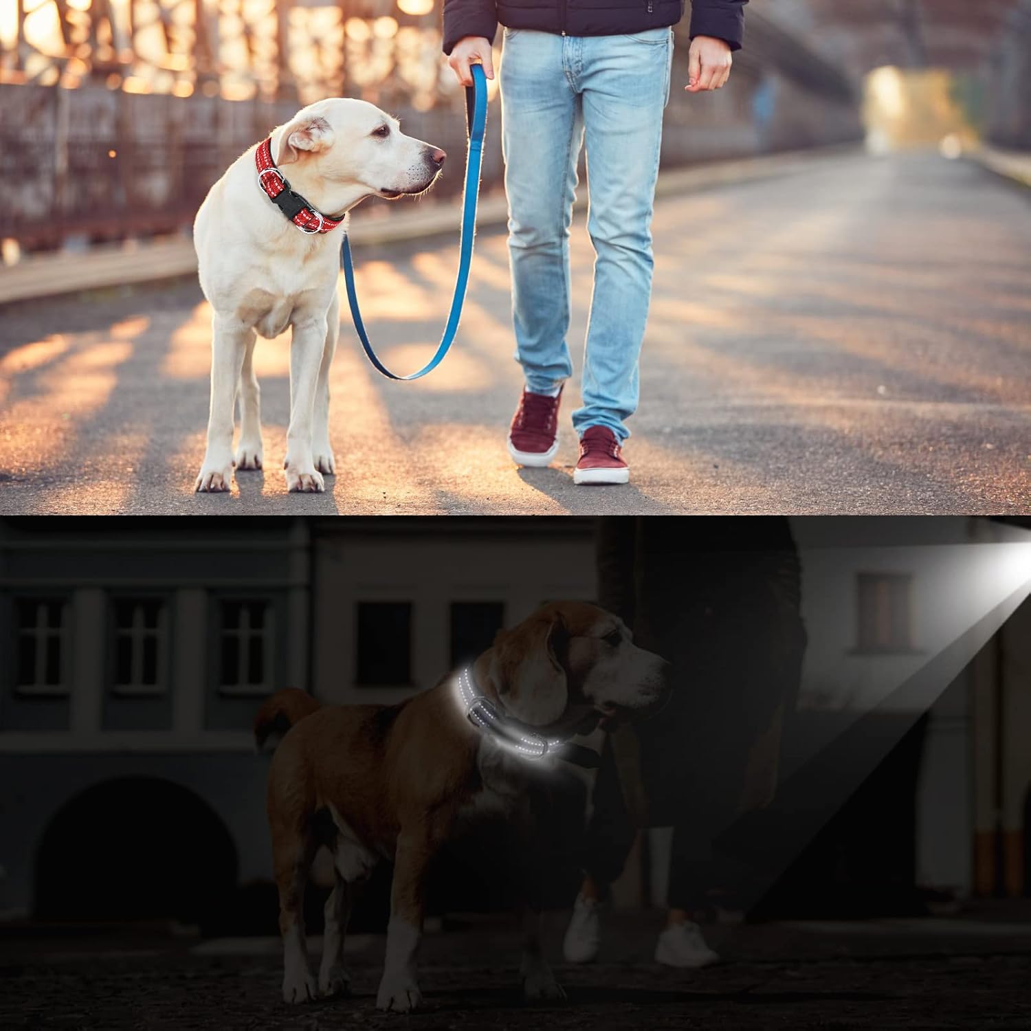 Reflective Nylon Pet Collar