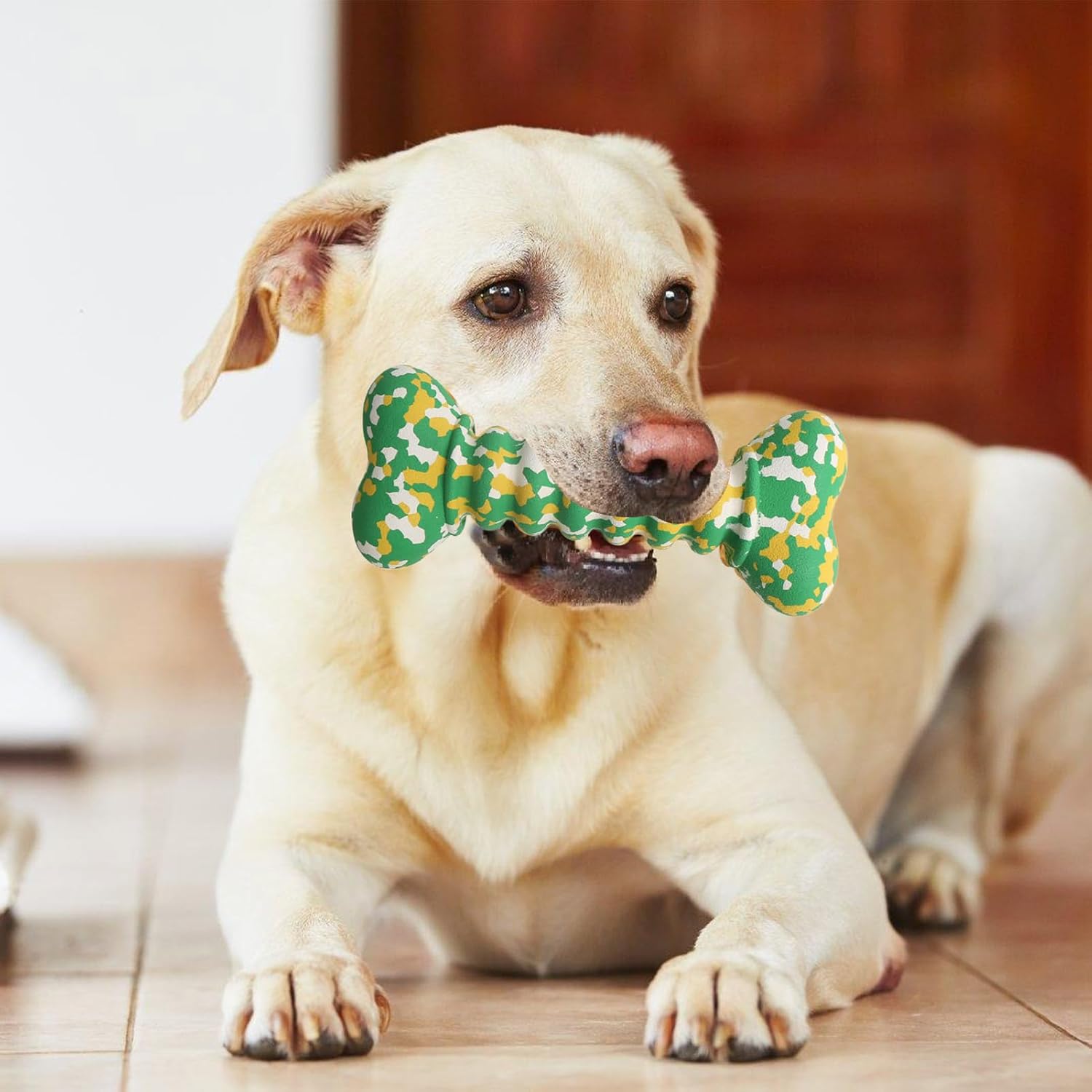 Indestructible Chew Toys