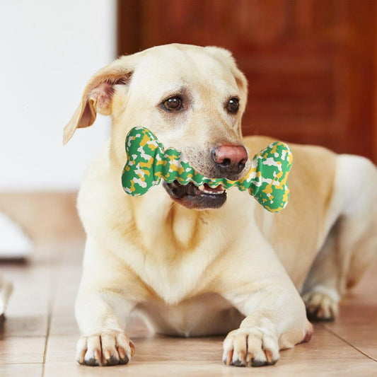 Indestructible Chew Toys