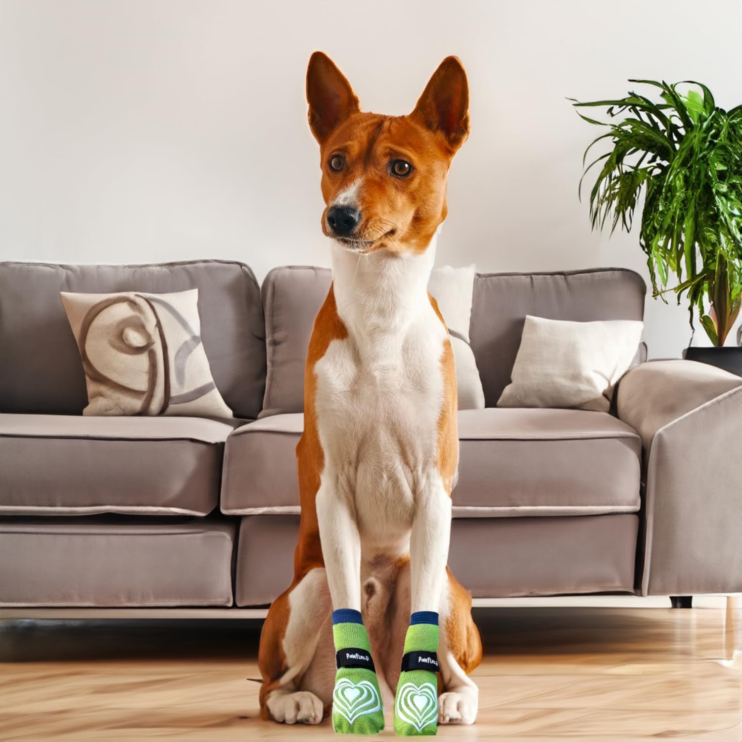 Non-Slip Double Sided Cotton Dog Socks