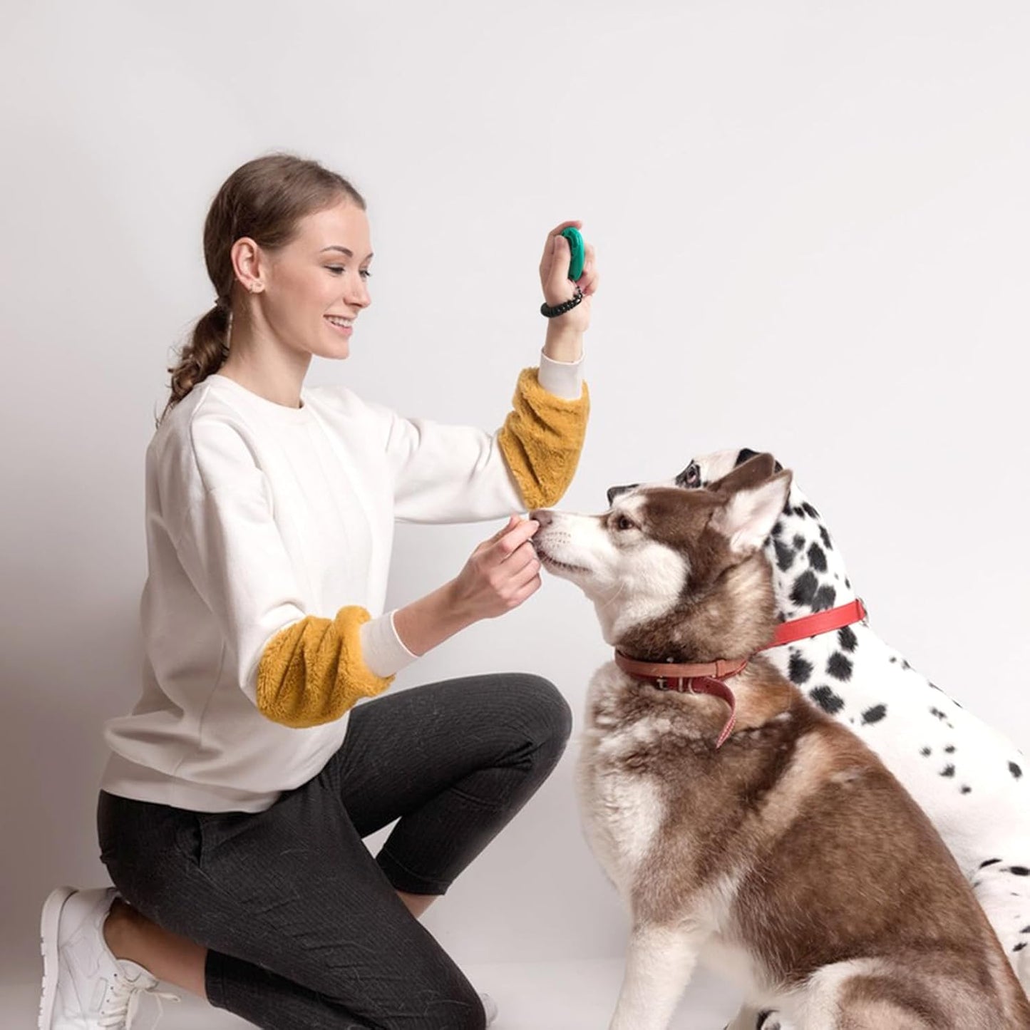 2pcs Dog Training Clickers