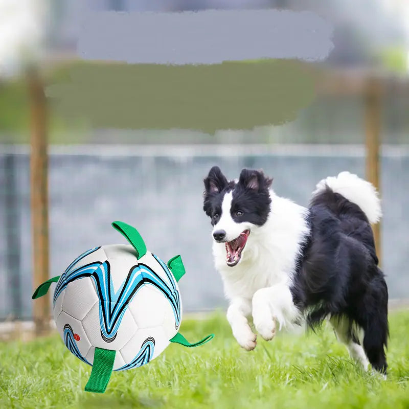 Training Rope Football For Pets