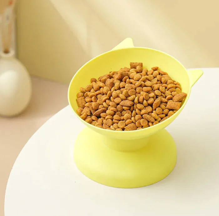 Pet Feeding Bowl