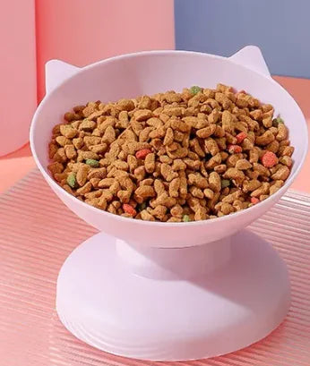 Pet Feeding Bowl