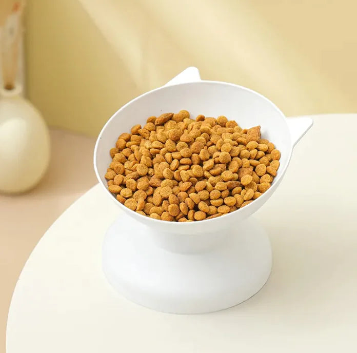 Pet Feeding Bowl