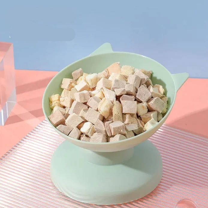 Pet Feeding Bowl