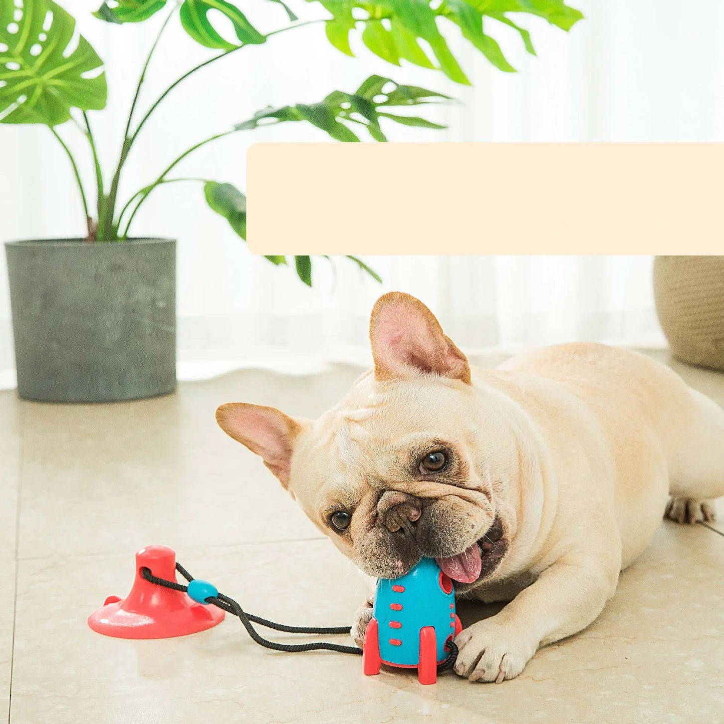 Rocket Dog Toys for Food Dispensing & Chewing