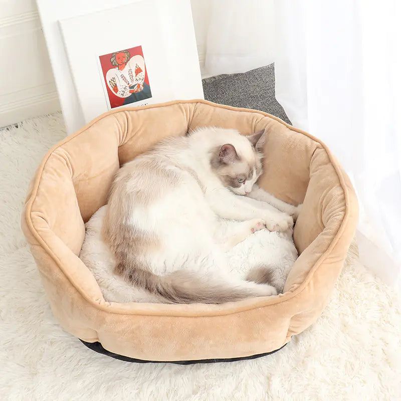 Shell-Shaped Pet Bed for Dogs & Cats