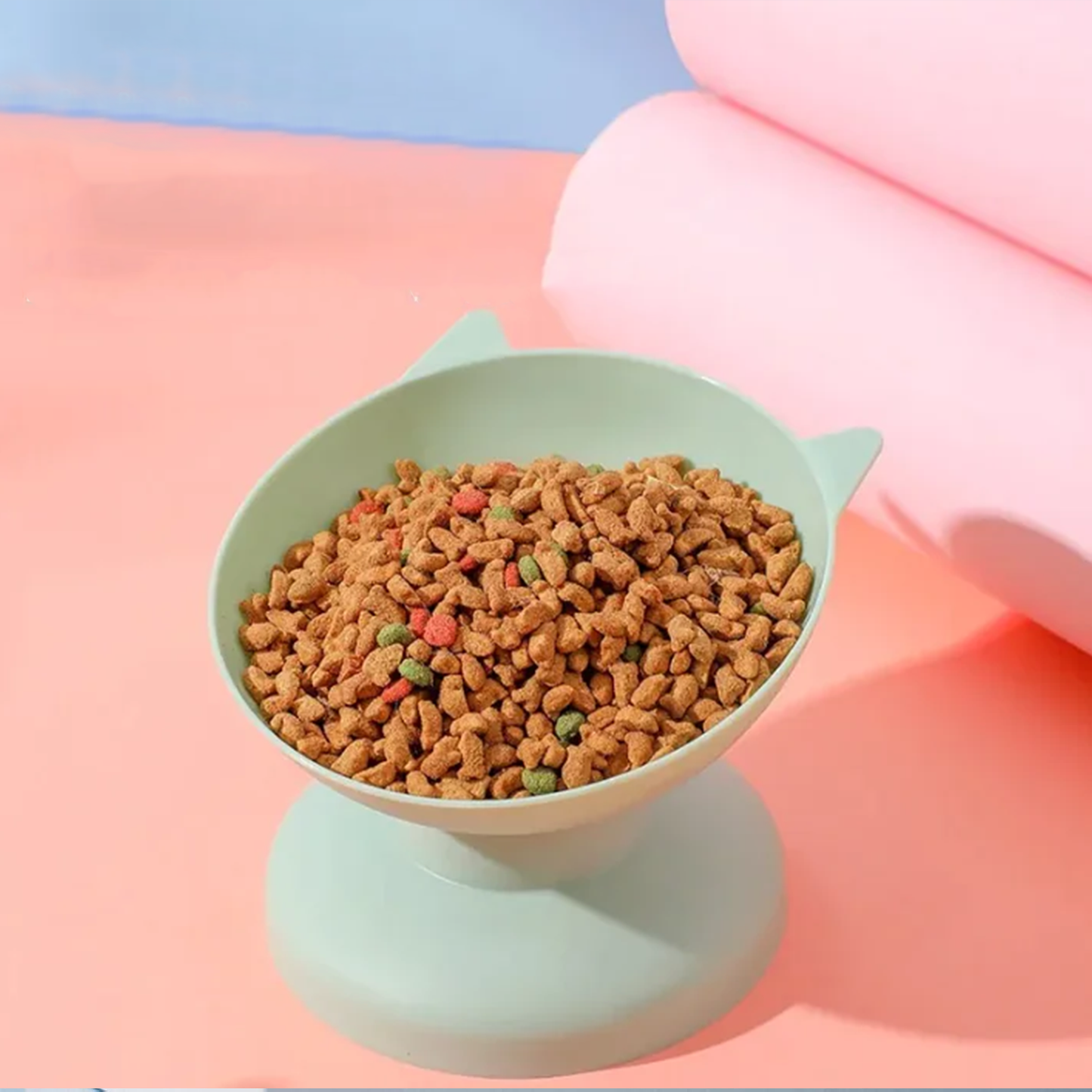 Pet Feeding Bowl