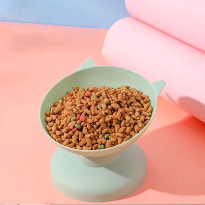 Pet Feeding Bowl