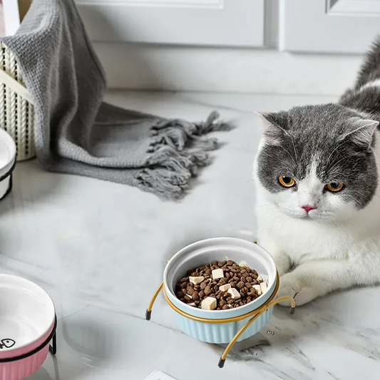Ceramic Cat Bowl with Iron Stand for Pet Feeding