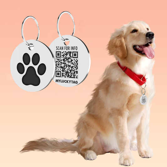 Stainless Steel QR Code Pet ID Tags