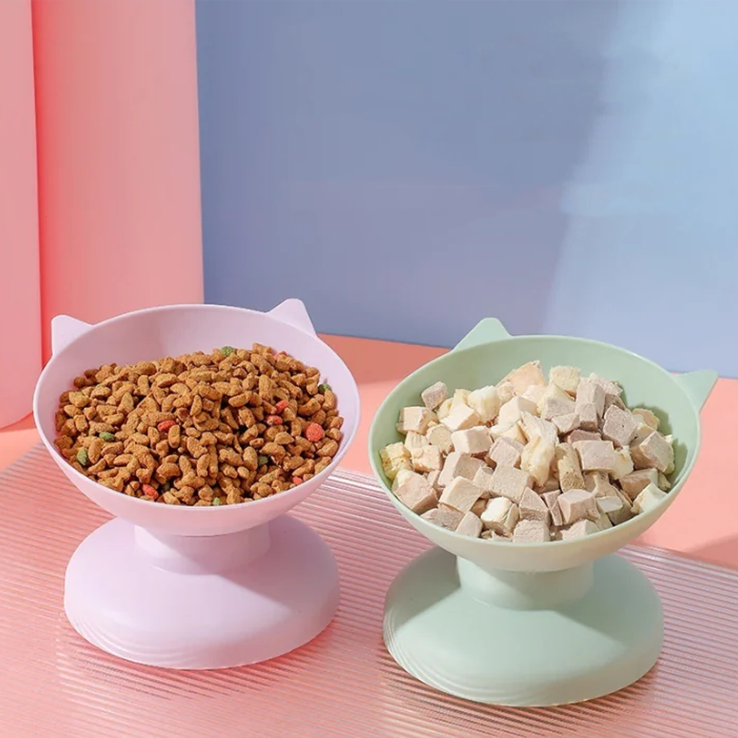 Pet Feeding Bowl