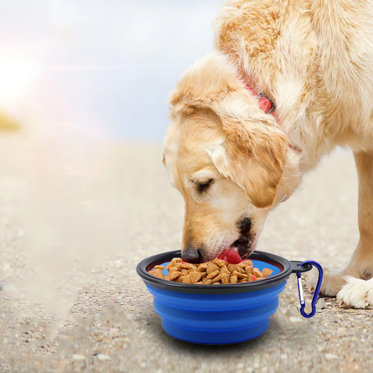 Foldable Collapsible Water Bowls