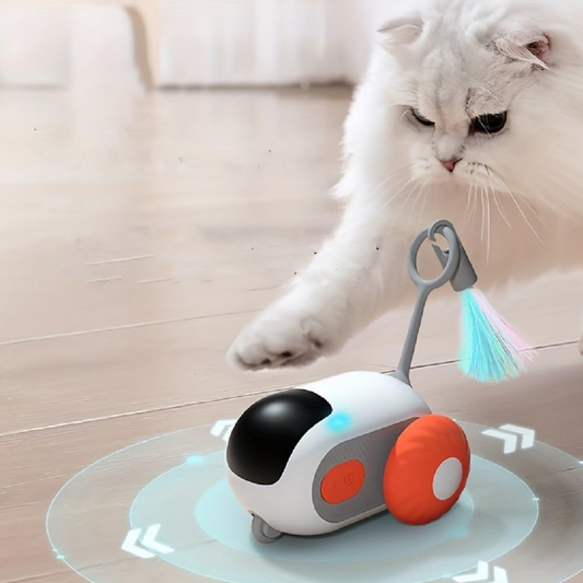 Smart Flip Cat Toy with Remote Control