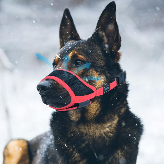 Soft Nylon Muzzle for Dogs
