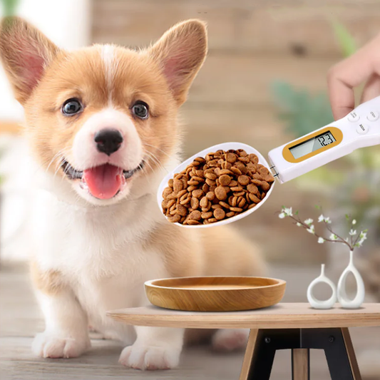 Pet Food Measuring Spoon with Weight Scale