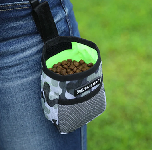 Mini Outdoor Pet Training Treat Bag