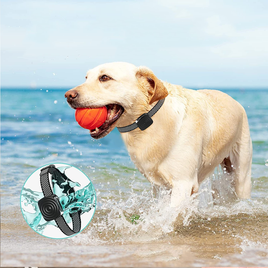 Anti-Barking Safety Dog Collar