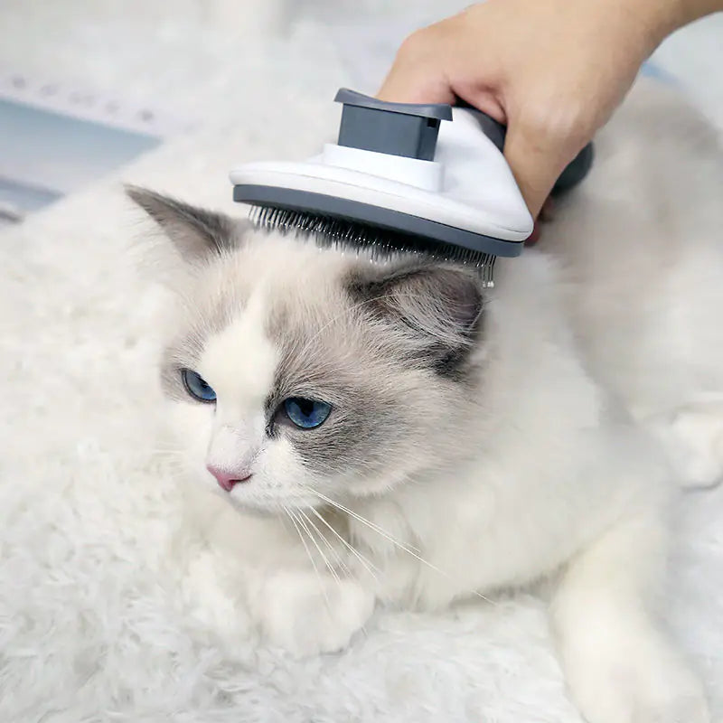 Grooming Brush for Cats & Dogs