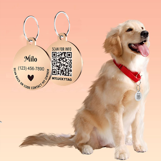 Personalized Pet ID Tags